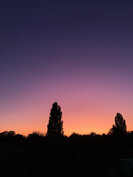 Photograph of a purple and orange sky behind trees cast in silhouette.